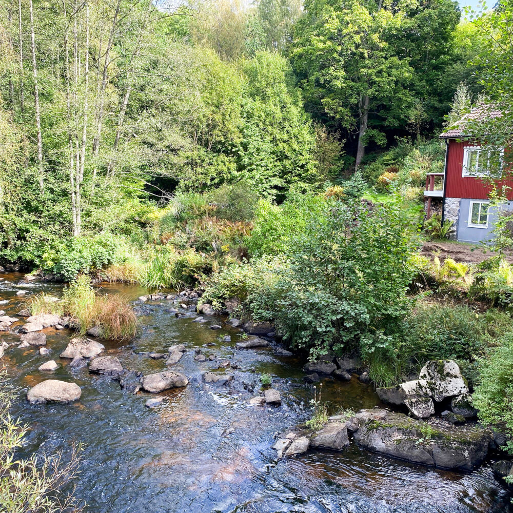 Enskilt avlopp vid en å i Bromölla kommun